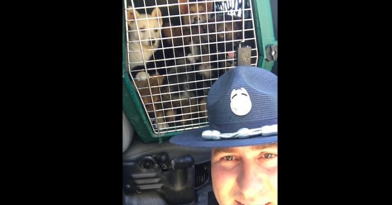 State Trooper Stops Car And Makes Shocking Discovery Locked Inside Trunk of Hot Car