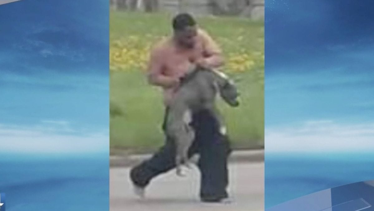 Man Caught On Video Abusing Dog Charged Weeks After Video Goes Viral