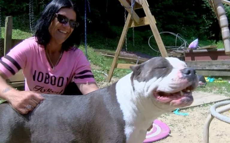 Dog Stays With Missing 2-Year-Old For Nearly Two Days In The Woods Until She is Found