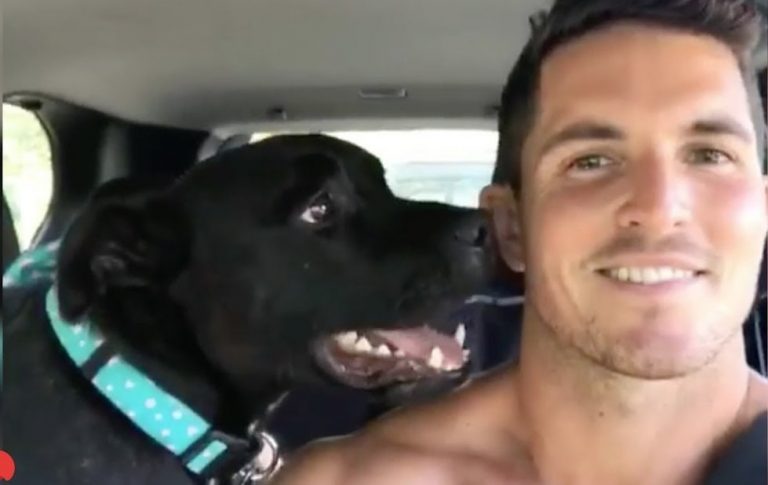 Talking Dog’s Unusual Bark Gets Him Adopted