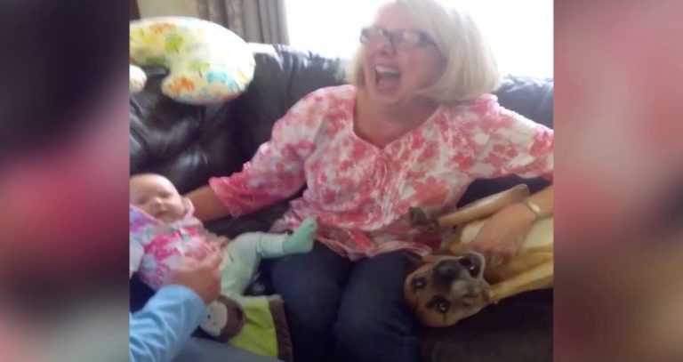 Dog Sees Baby Getting Hugs From Grandma and Wants Some Too