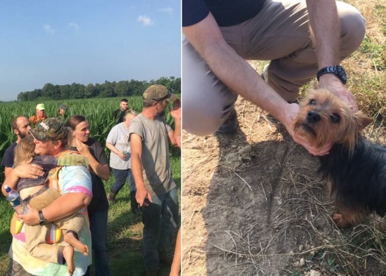 Tiny Dog Stays with Missing 3-Year-Old in Cornfield Overnight Until Help Arrives