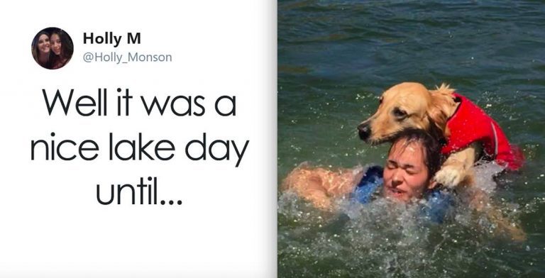 Funny Photos Reveal Nice Day at the Lake ‘Until My Dog Nearly Drowned My Sister’