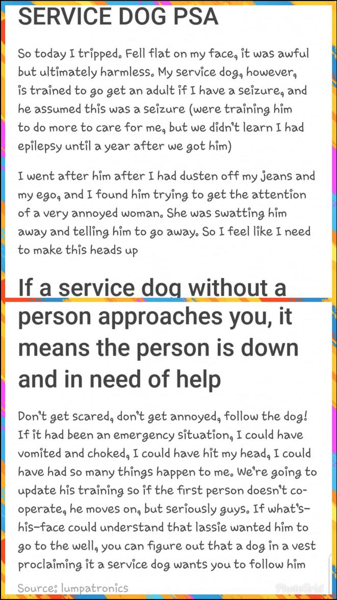 service dog psa