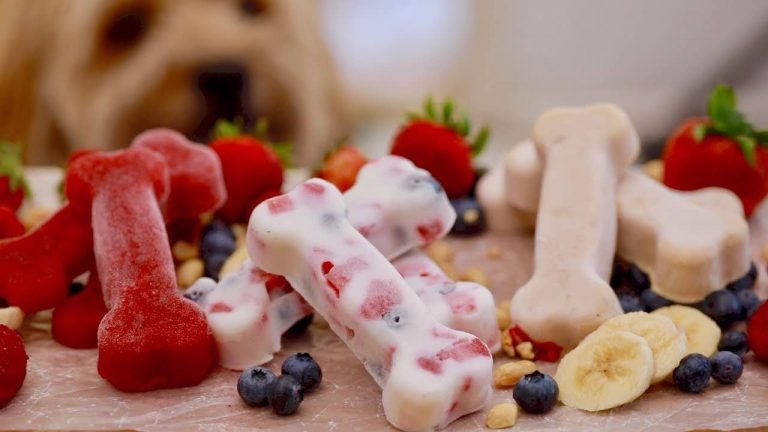 frozen dog treat recipes