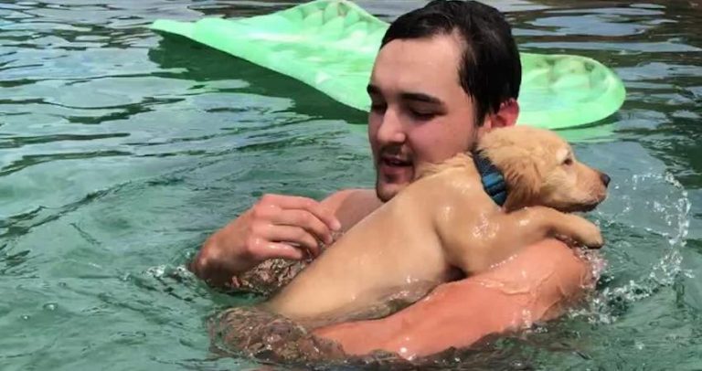 puppy's first swim