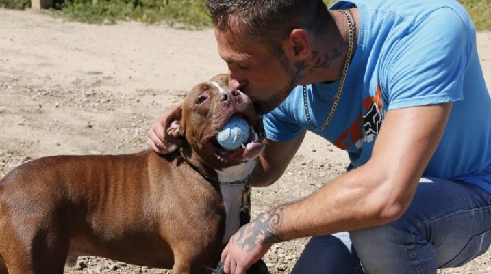 Recovering Addicts Help Rehabilitate Rescued Pit Bulls