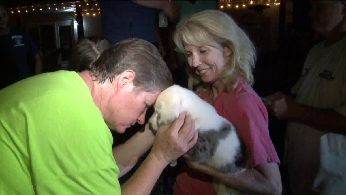 Deaf Puppy Finally Rescued After Spending 30 Hours in 50-Foot Hole