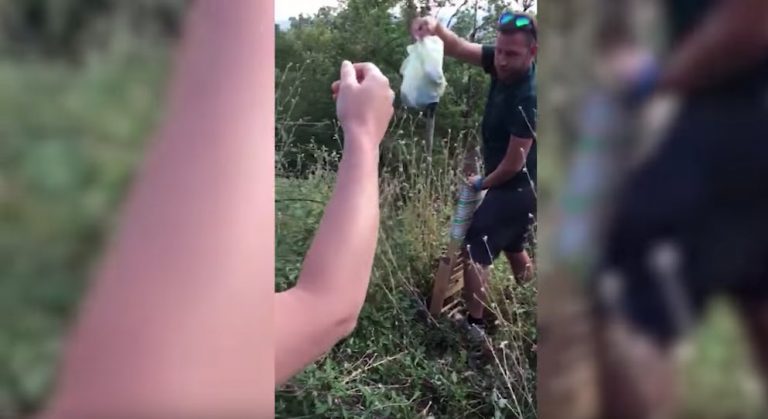 Good Samaritan Saves Puppies Dumped In Bag