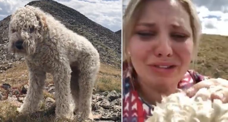 woman reunited with lost dog