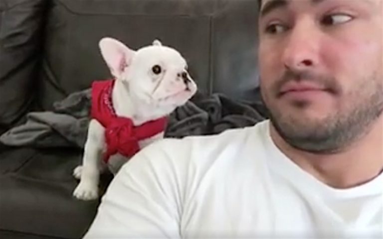Dad Tells His Puppy He Looks Handsome And Gets The Cutest Response