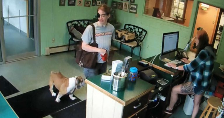 woman dumps bulldog at groomer