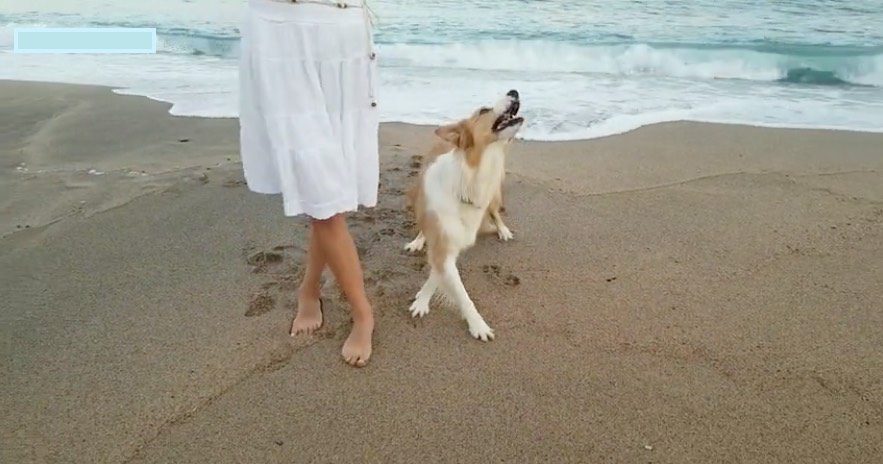 Woman Dances On The Beach with Her Beautiful Dog