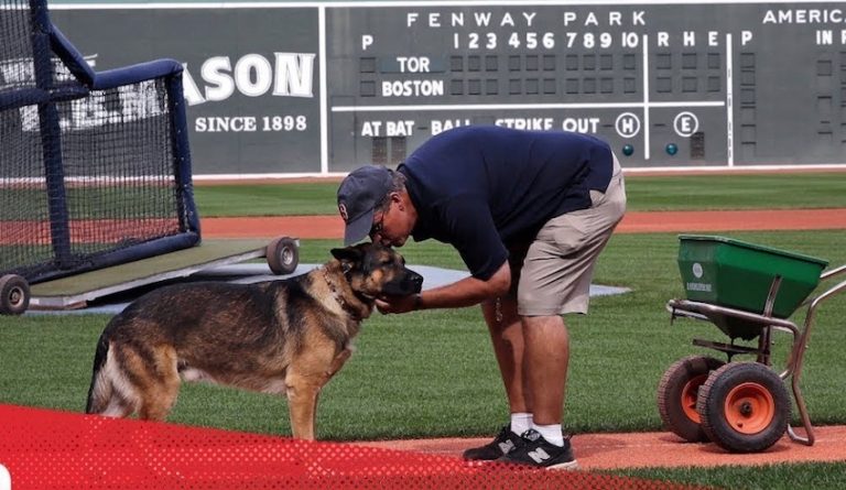 Service Dog Helps Red Sox’s Groundskeeper Cope with PTSD