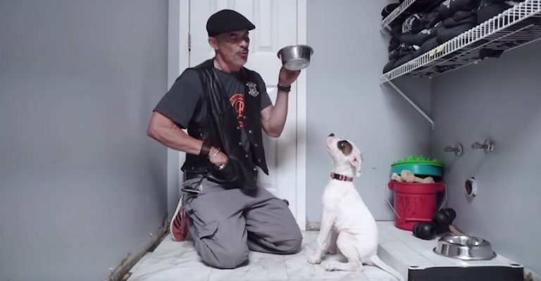 How to Prevent Your Dog from Food Guarding