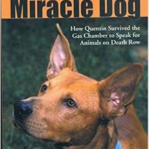 Miracle Dog: How Quentin Survived the Gas Chamber to Speak for Animals on Death Row