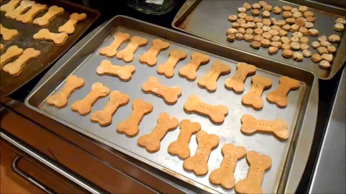 How to Make Pumpkin Dog Biscuits That Your Dogs Will Love