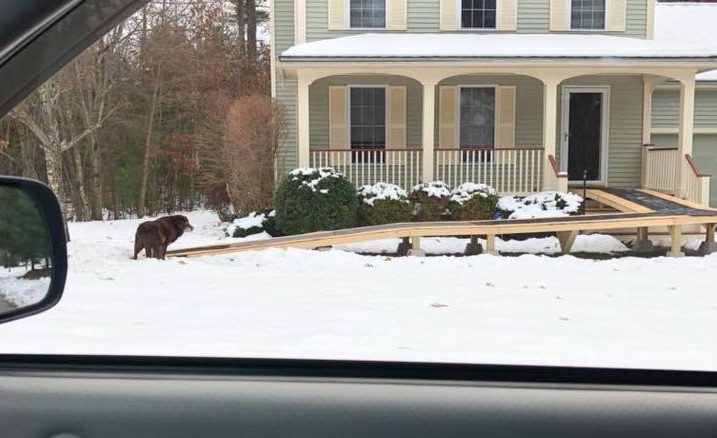 Man Discovers Neighbor’s Wheelchair Ramp In Wrong Place For One Heartwarming Reason