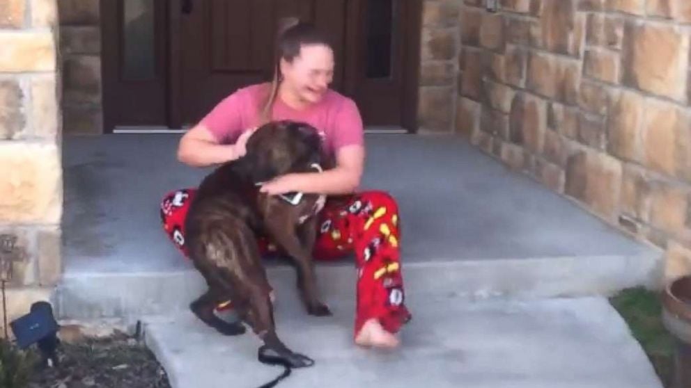 Parents Surprise Daughter With Shelter Dog She Was Caring For But Thought Got Adopted
