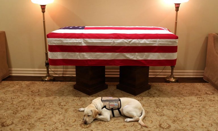 Sully, George H.W. Bush’s Services Dog, Loyally Bids Farewell