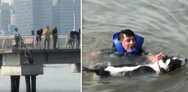 Man Leaves His Own Birthday Party To Rescue Drowning Dog