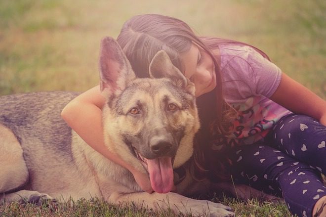 Having a Dog Reduces Anxiety in Kids, CDC study reveals