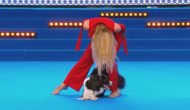 Dog Wows Crowd With Flawless And Fun Dance Routine