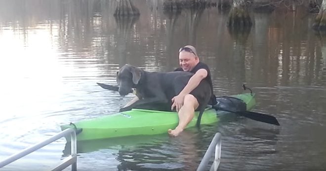 Great Dane Goes On A Kayak Ride With Dad