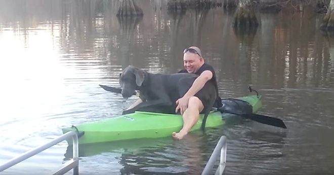 Great Dane Goes On A Kayak Ride With Dad