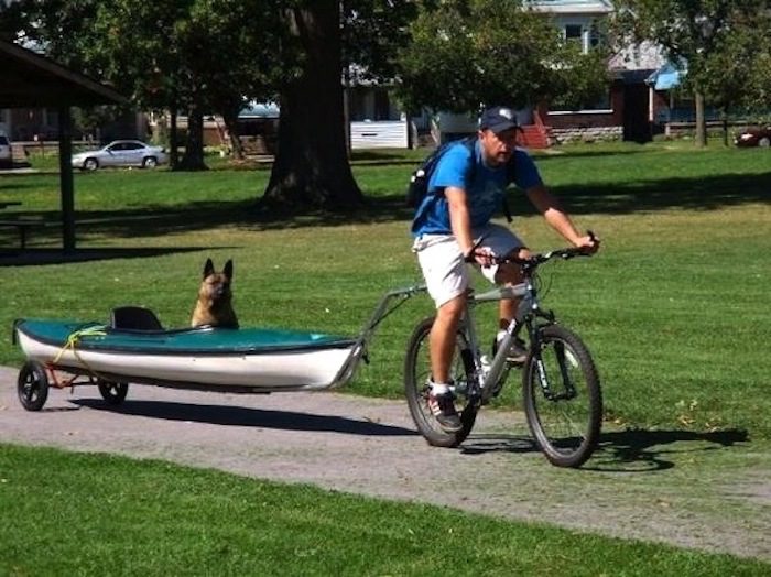 Man Does Wonderful Thing So His Blind, 3-Legged Dog Can Have Fun With Him Outdoors