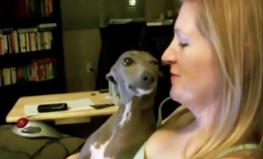 Sweet Italian Greyhound Has Irresistible Way of Getting Kisses