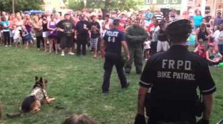 Police Dog Knows Exactly How to Protect His Partner