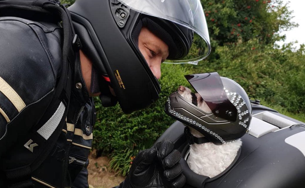 Motorcyclist Keeps His Dog Safe For The 