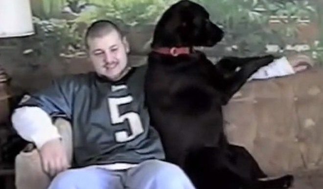 Affectionate Labrador Retriever Insists On Getting Belly Rubs