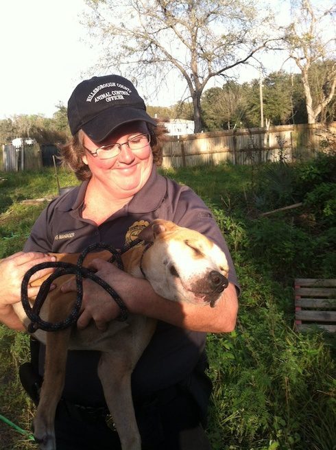 26 Pit Bulls Rescued from Backyard Dog Fighting Operation