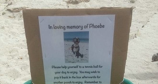 Loving Tribute to Dog Erected At Beach