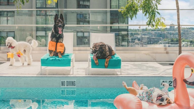 Vancouver Police Dogs are All About Having Fun in This Year’s Calendar for Charity