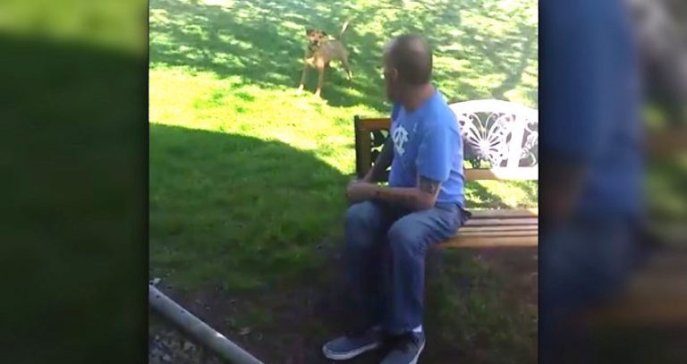 Man Returns From Long Hospital Stay And Surprises His Dog