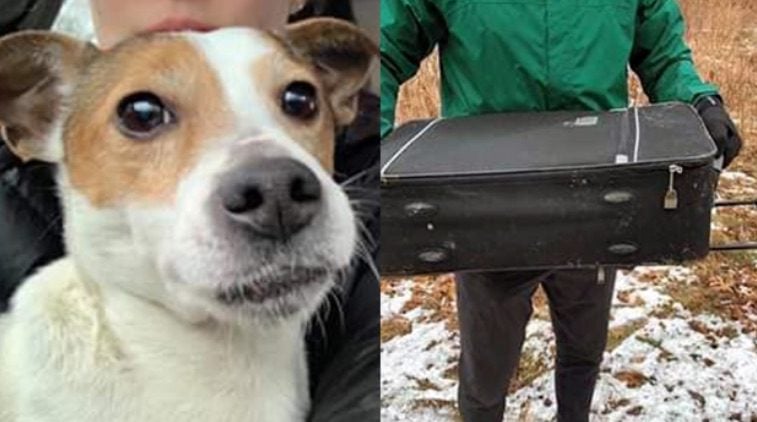 Dog Found in Zipped Suitcase Lucky to Be Alive