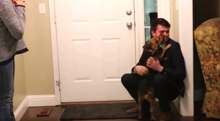 Dog Cries with Joy when She Sees Her Human for First Time in 2 Years