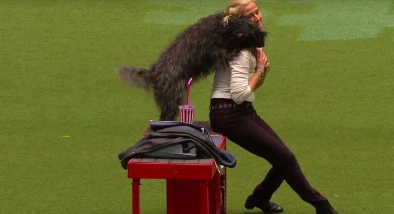 Dog Drinks from Straw, Types and Charms Audience with Adorable ‘Grease’ Routine