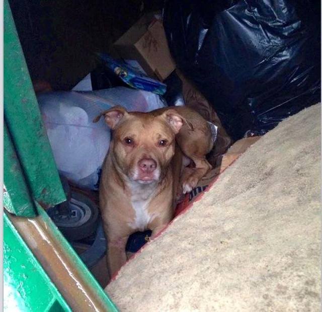Emmett was dumped into a garbage bin by his family