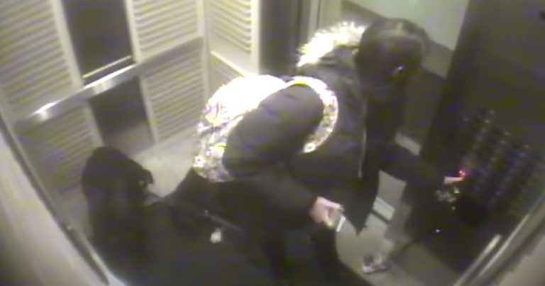 Dog Owner Warns Of Dangers of Dogs in Elevators After Frightening Incident
