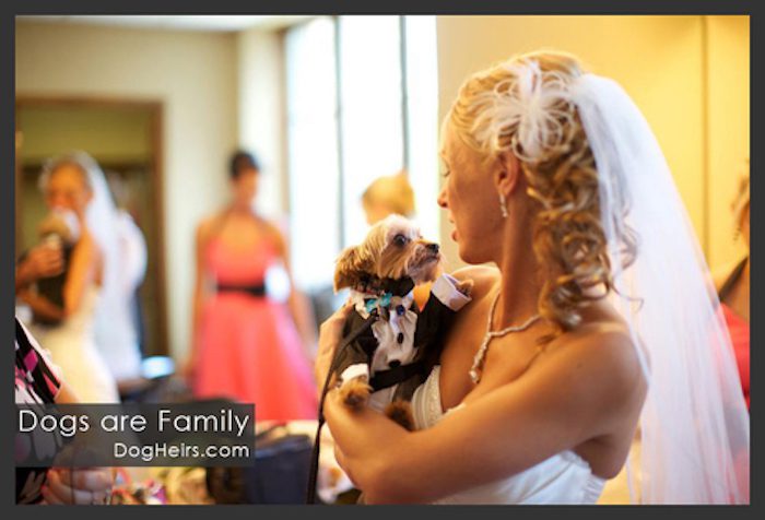 Dogs are Family at Weddings