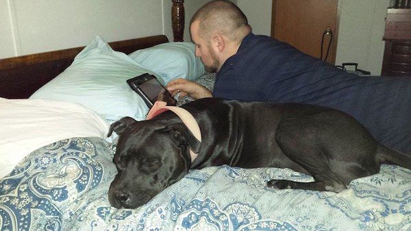 Dozer loves sleeping on the bed