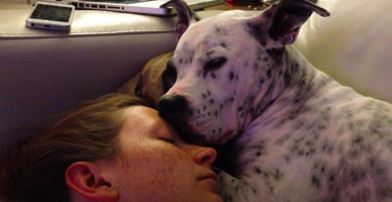 Sweet Pit Bull Wakes Sleeping Mom with Affectionate Kiss