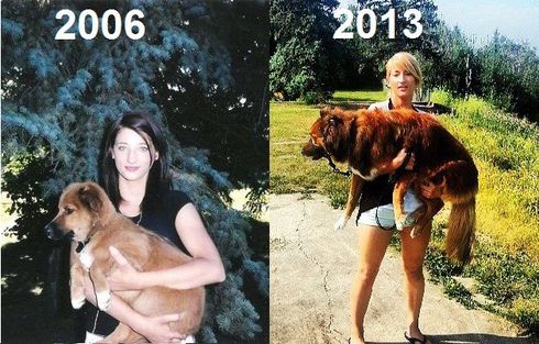 Amy Angela Dogs are for life then and now photo