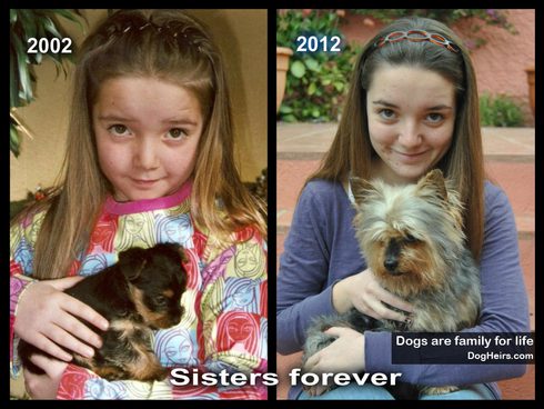 Dogs are family for life: 'Then and Now' photos of lifelong friendships