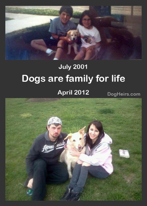 Dogs are family for life: 'Then and Now' photos of lifelong friendships