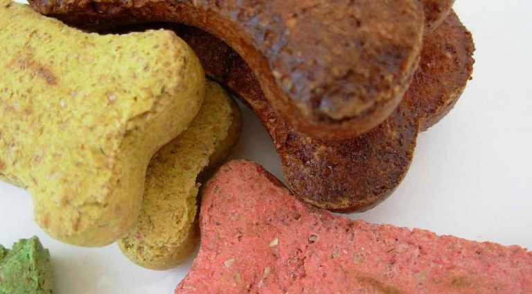 Oatmeal Cookie Recipe That Your Dogs Will Love